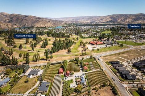 Photo of property in 1 Shortcut Road, Cromwell, 9310