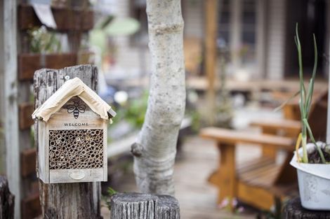 Photo of property in 46 Carnell Street, Napier South, Napier, 4110