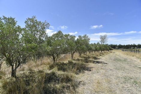 Photo of property in 244d Georges Road, Glasnevin, 7482