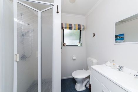 Photo of property in 101 Lincoln Street, Ashhurst, 4810