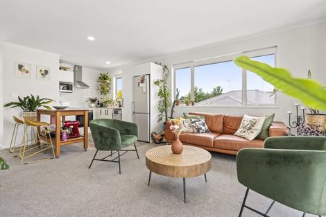 Photo of property in 1a Lafferty Street, Maeroa, Hamilton, 3200