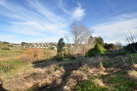 Photo of property in 90 Panmure Avenue, Calton Hill, Dunedin, 9012
