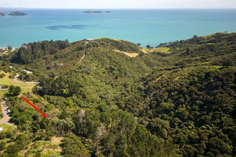 Photo of property in 79 Woods Road South, Colville, Coromandel, 3584