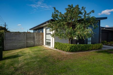 Photo of property in 1/1 Murray Street, Maeroa, Hamilton, 3200