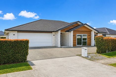 Photo of property in 19 Sydney Place, Flagstaff, Hamilton, 3210