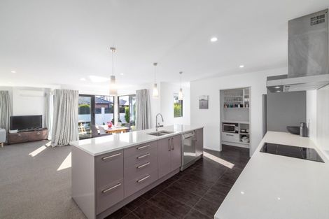 Photo of property in 40 Te Rito Street, Marshland, Christchurch, 8083