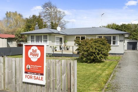 Photo of property in 43 Tararua Street, Pahiatua, 4910