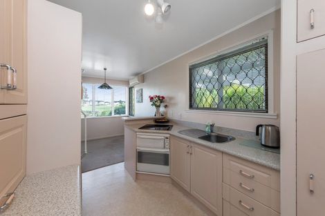 Photo of property in 16 Alamein Terrace, Mount Albert, Auckland, 1025