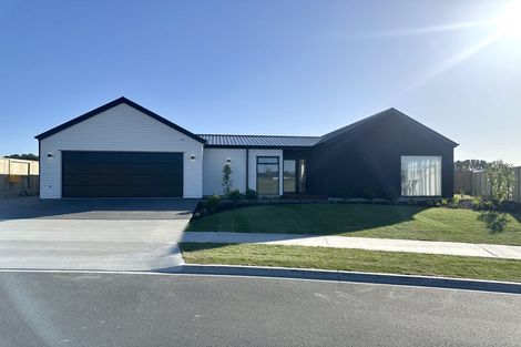 Photo of property in 6 Neinei Place, Wharewaka, 3330