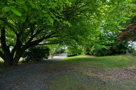 Photo of property in 138 Rawhiti Road, Reporoa, 3081