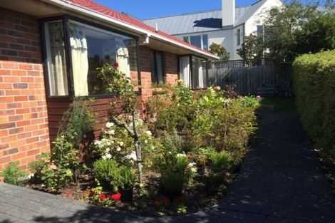 Photo of property in 61b Passmore Crescent, Maori Hill, Dunedin, 9010