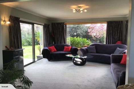 Photo of property in 12 Wolsey Place, Hillmorton, Christchurch, 8025