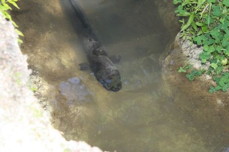 Photo of property in 3 Birdsong Lane, Mangawhai, Kaiwaka, 0573