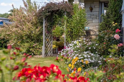 Photo of property in 43 Fergusson Street, Solway, Masterton, 5810