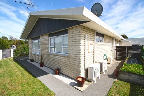 Photo of property in 145 Mangorei Road, Merrilands, New Plymouth, 4312