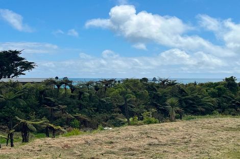 Photo of property in 9 Omau Road, Cape Foulwind, Westport, 7892