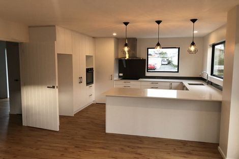 Photo of property in 1c Mcleod Street, Richmond, Christchurch, 8013