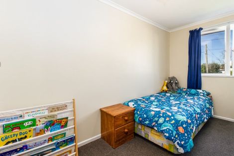 Photo of property in 233 Lumsden Place, Akina, Hastings, 4122