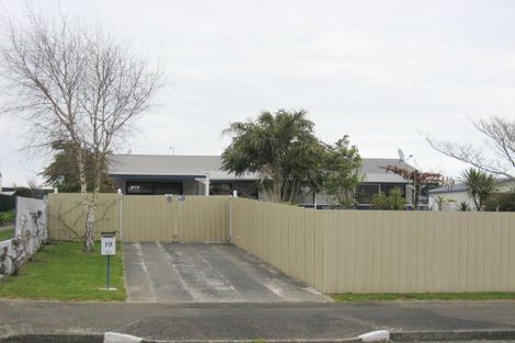 Photo of property in 19 Douglas Street, Levin, 5510