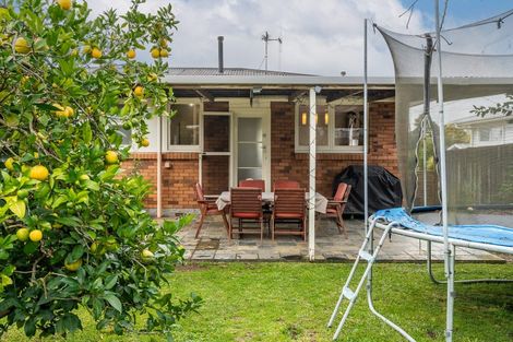 Photo of property in 20 Springfield Crescent, Enderley, Hamilton, 3214