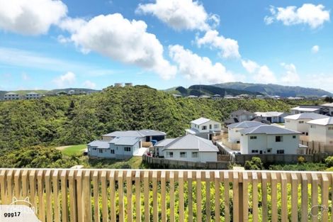 Photo of property in 12 Trelawny Terrace, Grenada Village, Wellington, 6037