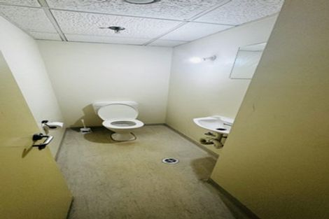 Photo of property in Breeze Plaza, 701/57 Manners Street, Te Aro, Wellington, 6011