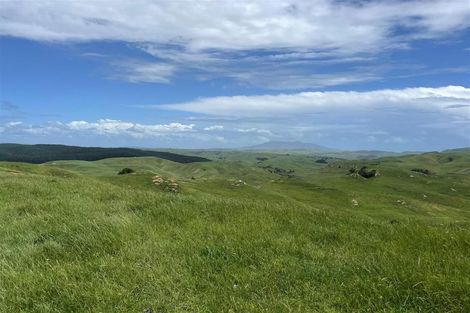 Photo of property in 429 Te Akau South Road, Te Akau, Ngaruawahia, 3793