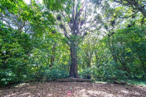 Photo of property in 141 Tauraroa Road, Maungakaramea, Whangarei, 0178