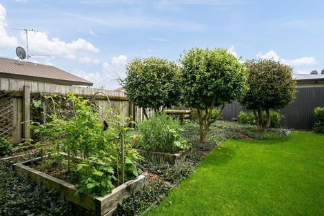 Photo of property in 77c Grey Street, Cambridge, 3434