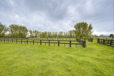 Photo of property in 510 Wall Road, Raureka, Hastings, 4120