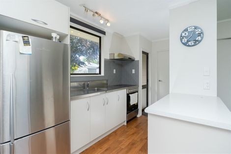 Photo of property in 159a Galloway Street, Hamilton East, Hamilton, 3216