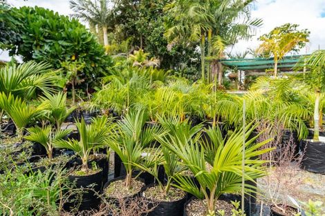 Photo of property in 656 One Tree Point Road, Ruakaka, Whangarei, 0171