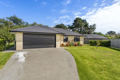Photo of property in 10 Dow Chung Place, Otaki, 5512