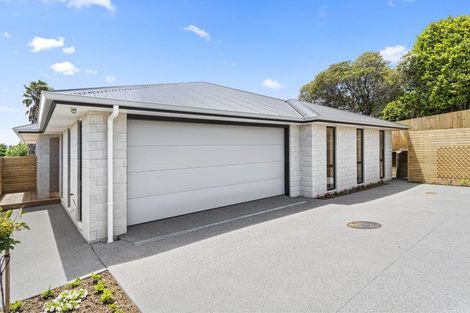 Photo of property in 4 Linley Terrace, Judea, Tauranga, 3110