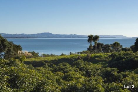 Photo of property in 333 Pahoia Road, Whakamarama, Tauranga, 3172