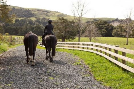 Photo of property in 1149a Whangaripo Valley Road, Whangaripo, Wellsford, 0972