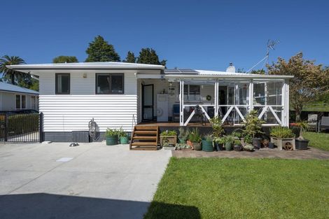 Photo of property in 67 Overdale Road, Putaruru, 3411