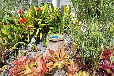 Photo of property in 48 Joyces Road, Paihia, 0200