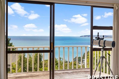 Photo of property in 258 Whangaparaoa Road, Red Beach, 0932