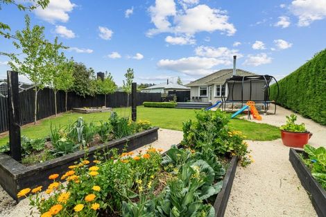 Photo of property in 19 King Street, Coalgate, 7673