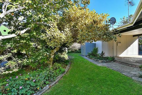 Photo of property in 350c Great South Road, Opaheke, Papakura, 2113