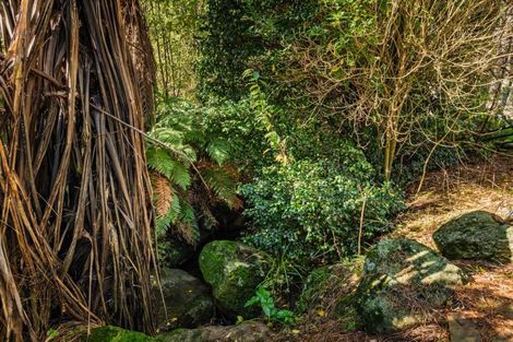 Photo of property in 2b Lemon Grove, Waipapa, Kerikeri, 0295