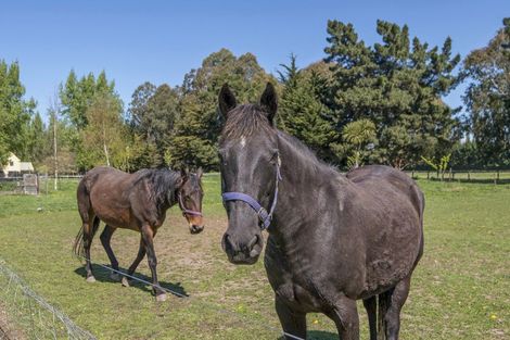 Photo of property in 551 Lower Sefton Road, Sefton, Rangiora, 7477