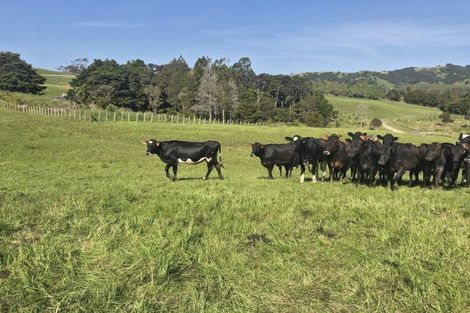 Photo of property in 81 Edgerley Road, Kaipara Flats, Warkworth, 0981