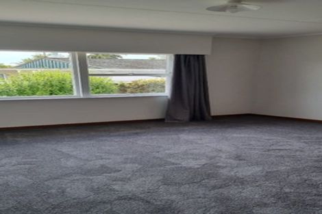 Photo of property in 23 Heaphy Street, Richmond, 7020