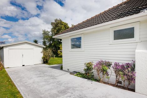 Photo of property in 67 Guy Avenue, Takaro, Palmerston North, 4410