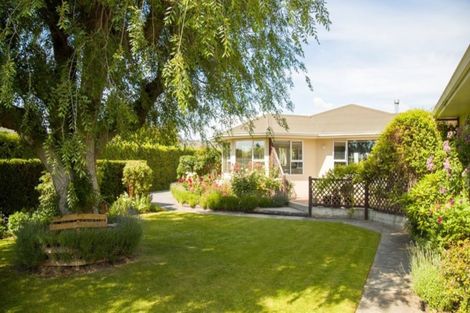 Photo of property in 98 Ventry Street, Alexandra, 9320