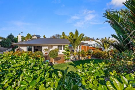 Photo of property in 19 Briarley Street, Tauranga South, Tauranga, 3112