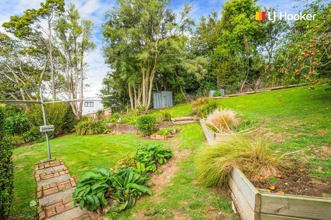 Photo of property in 49 Corstorphine Road, Corstorphine, Dunedin, 9012