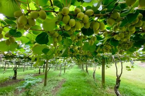 Photo of property in 6 Woodland Road, Johnsonville, Wellington, 6037